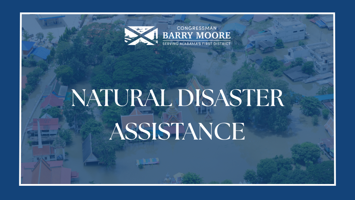 Natural Disaster Assistance