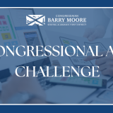 CongressionalArtChallenge