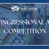 Congressional Art Competition
